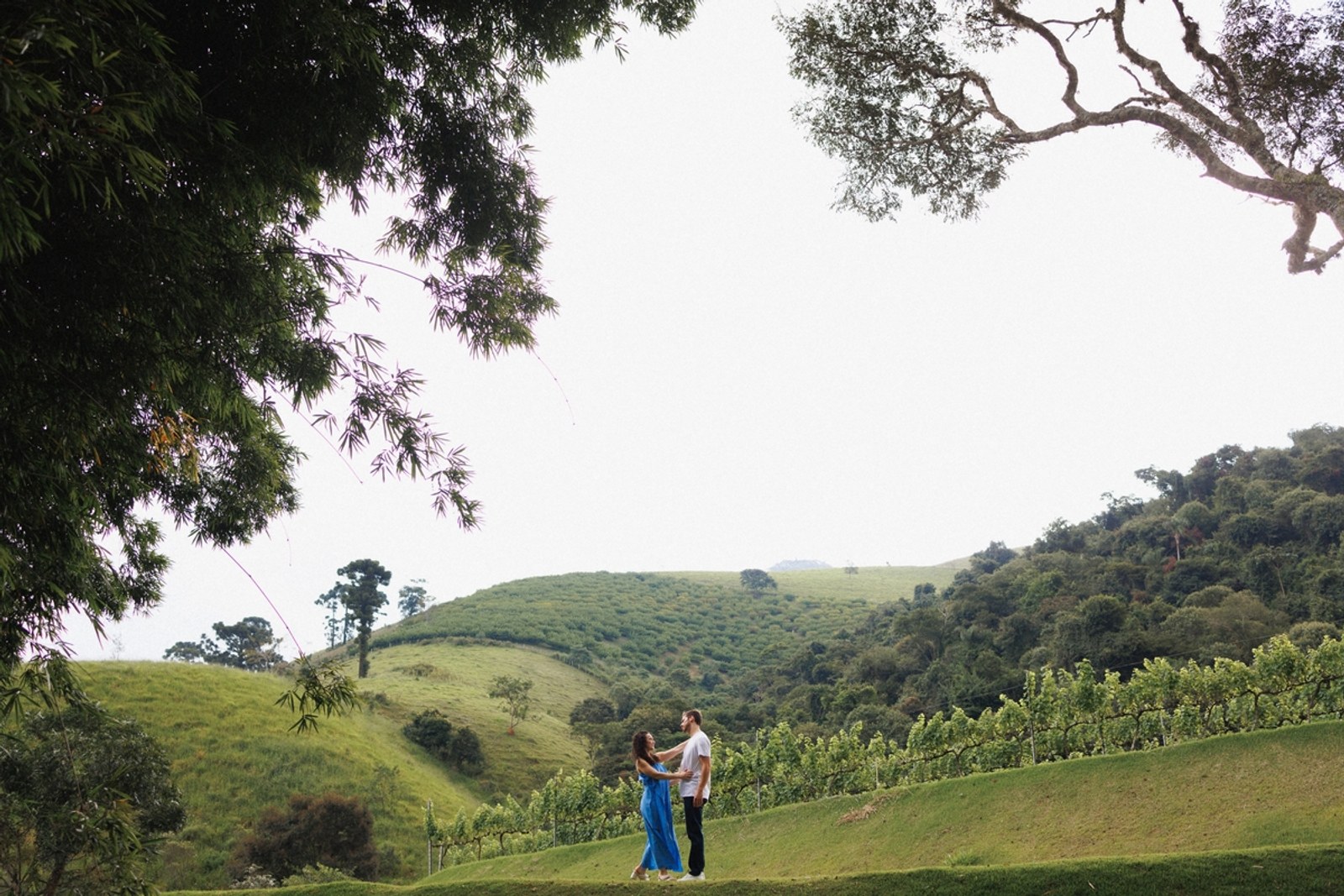 Ensaio Pré Wedding de Giovanna & Henrique em Vinícola Santa Maria - São Bento do Sapucaí (SP) — fotografia 5